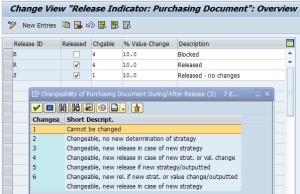 release indicator for external